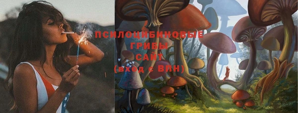 мескалин Инта