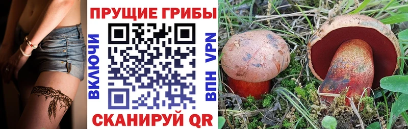 Галлюциногенные грибы Psilocybe  Купить  Омутнинск 